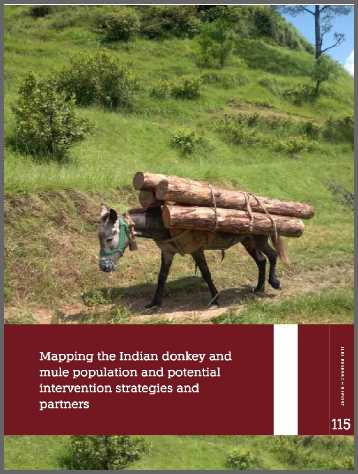 Indiancover